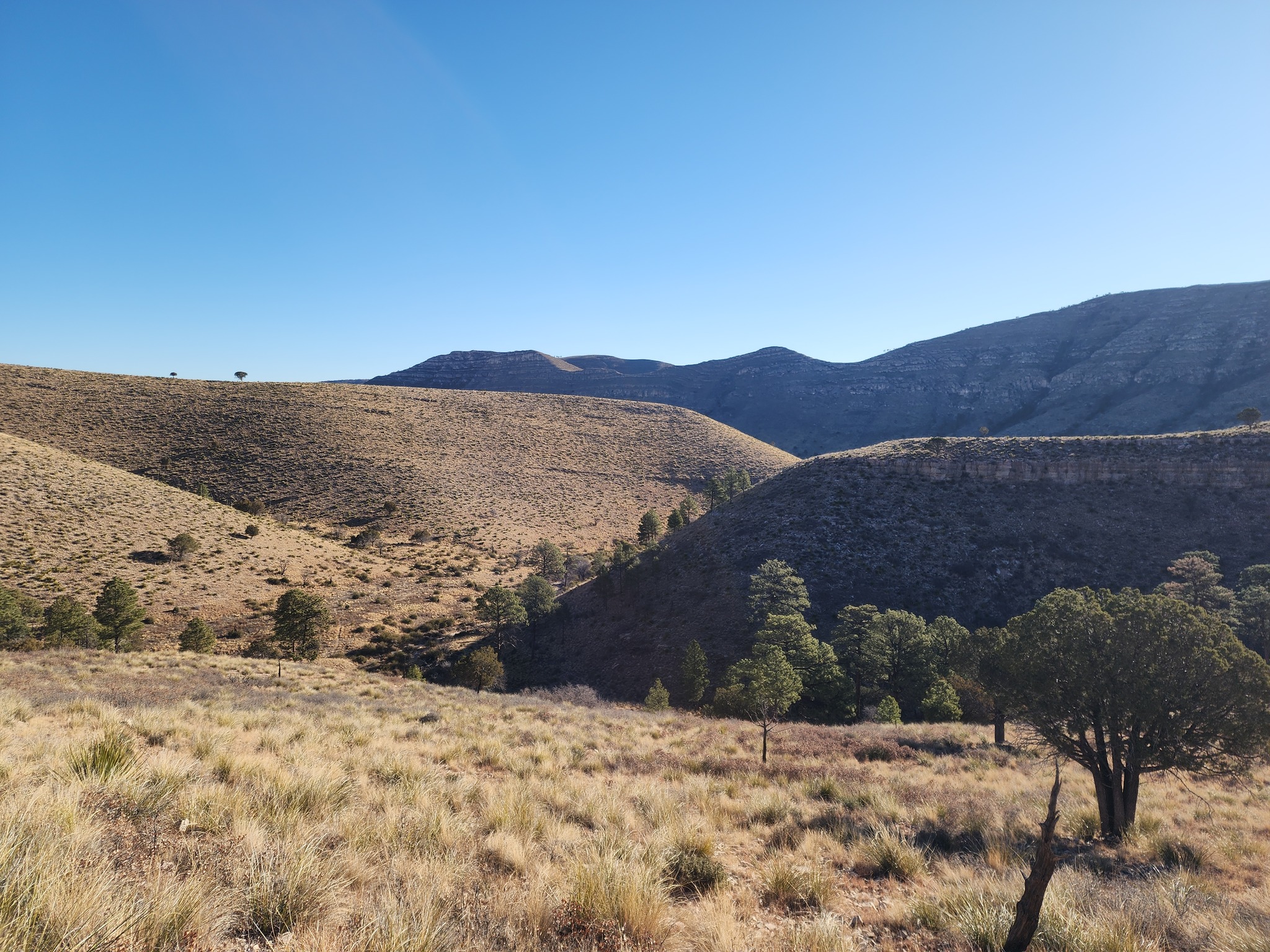 Dog Canyon grassland valleys