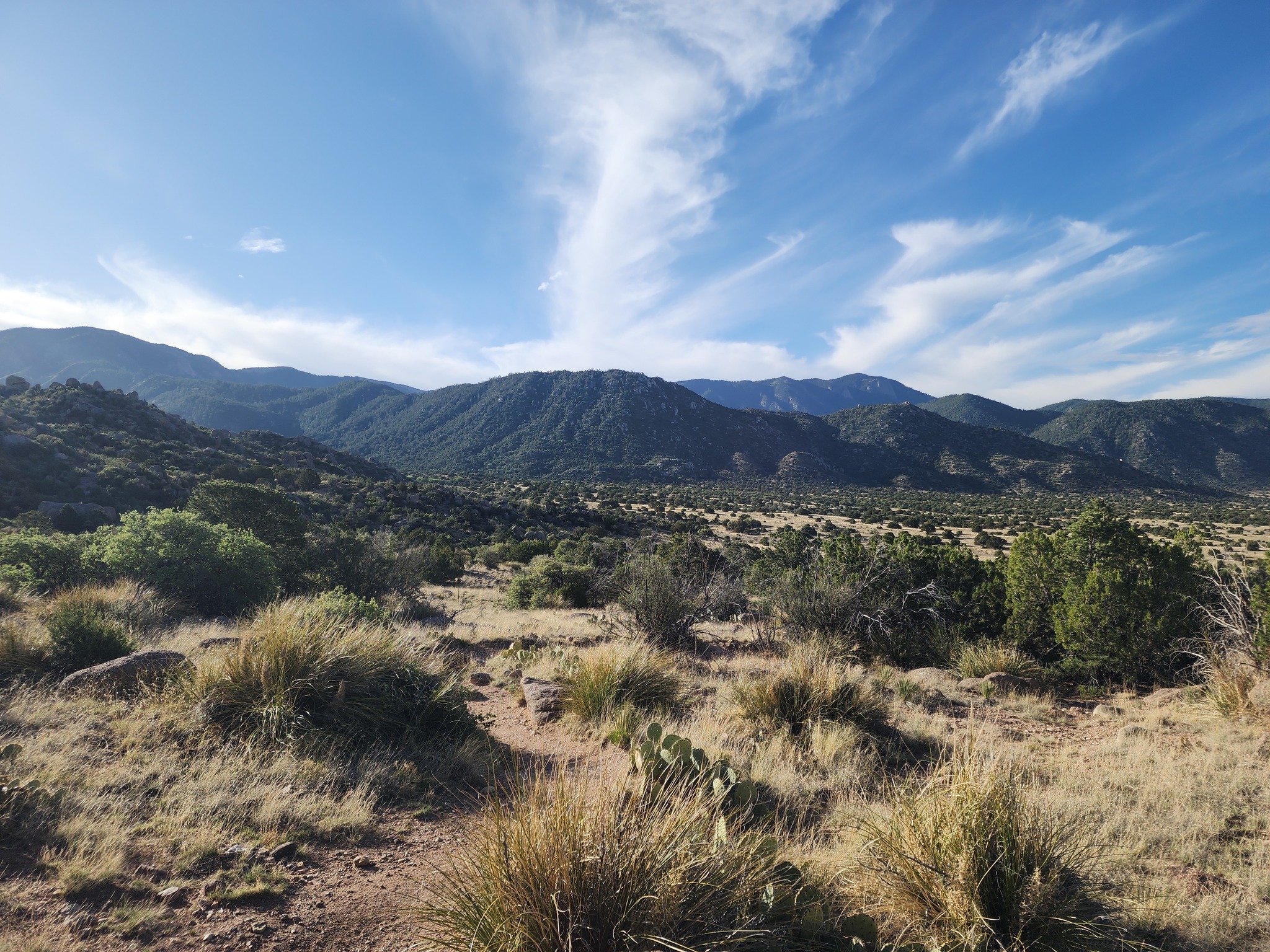 Sandia desert high country